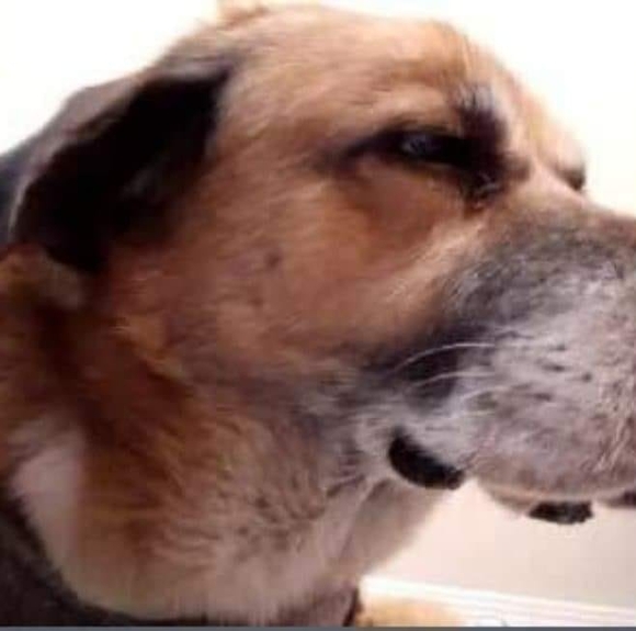 michaelbarks433
